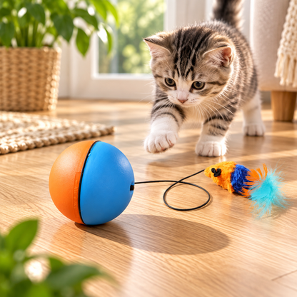 PawNova PlayRoll™ – Gioco Interattivo Automatico per Gatti