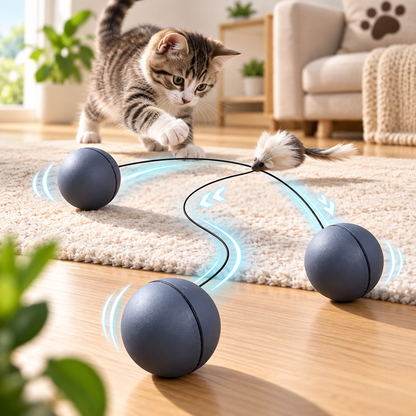 PawNova PlayRoll™ – Gioco Interattivo Automatico per Gatti
