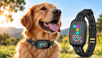 PAWNOVA BarkControl™ – Collare Antiabbaio Ricaricabile per Cani